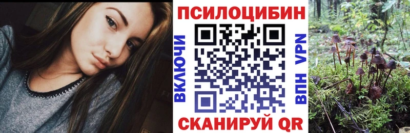 Псилоцибиновые грибы Psilocybine cubensis  где можно купить наркотик  Чапаевск 